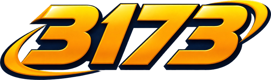 3173
